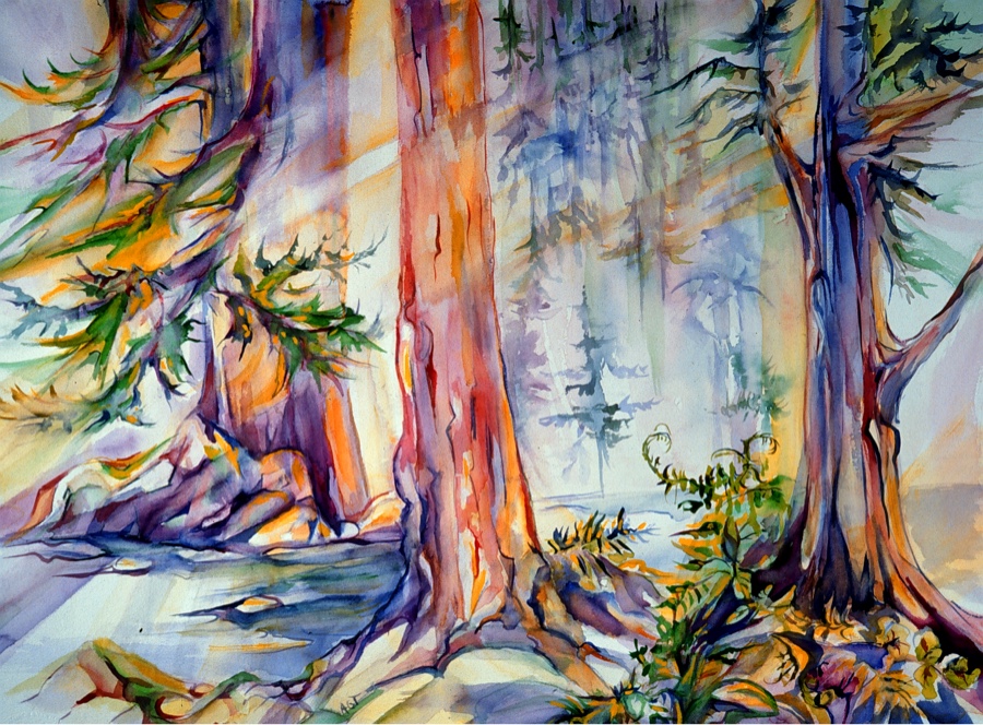 Old Growth - watercolor by Andrea Traphagen
