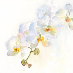 watercolor by Hiroko Stumpf